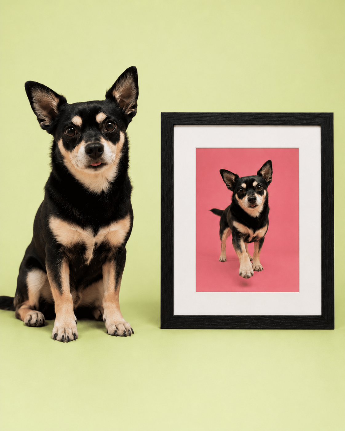 A custom Furrvi portrait of a rescue dog next to its framed artwork