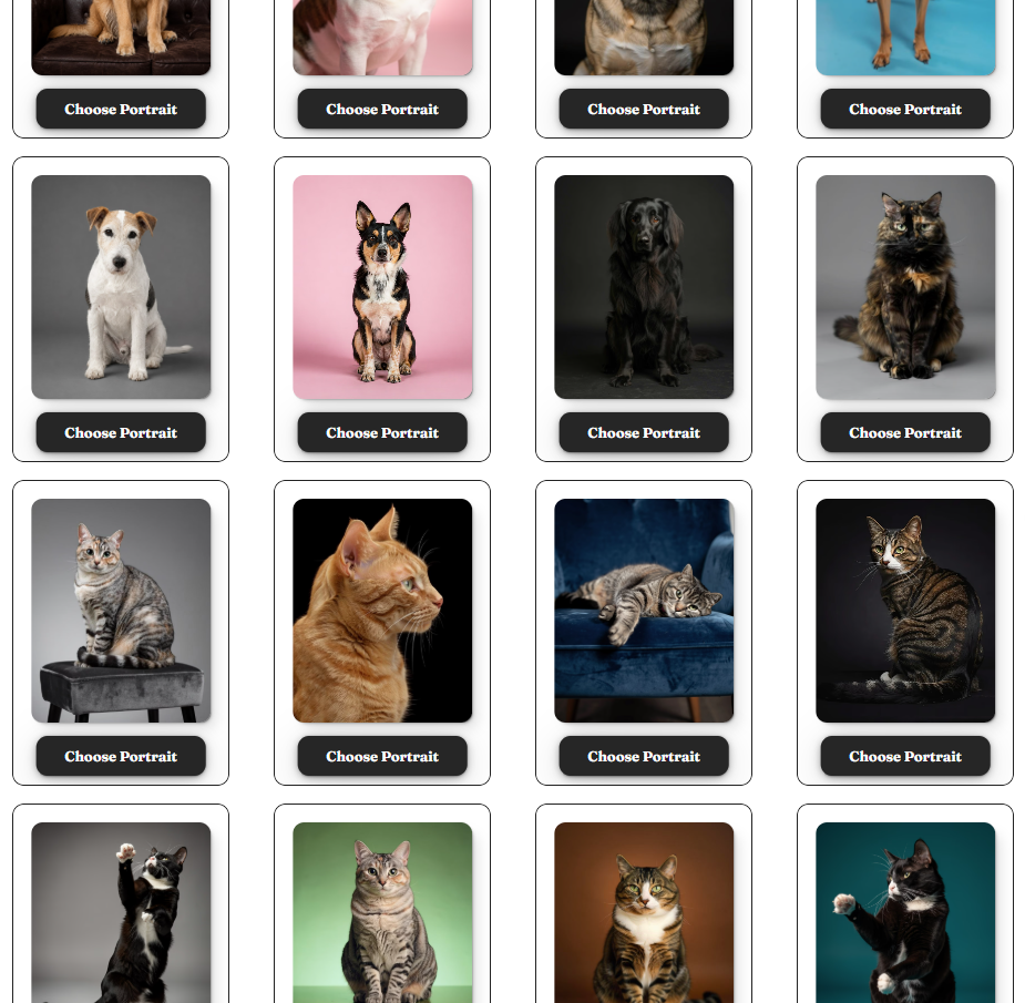Choose your perfect portrait style